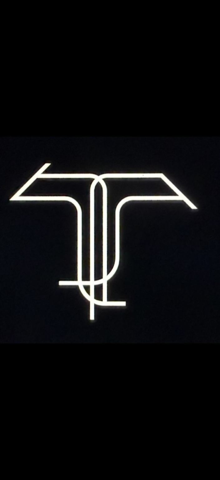 Trusted T Trucking LLC logo